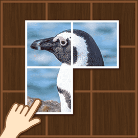パズルゲーム｜ぴったりフォトグラフ