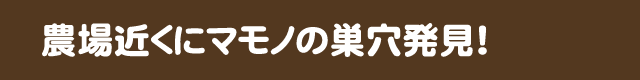 農場近くにマモノの巣穴発見！